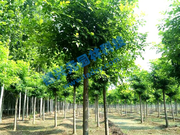 �c���鿴Ԕ����Ϣ���}����Ϟ ��x�Δ���2105