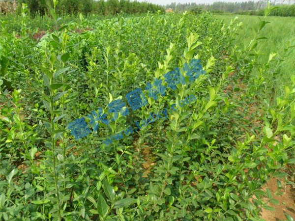 �c���鿴Ԕ����Ϣ���}�����~������ ��x�Δ���2467