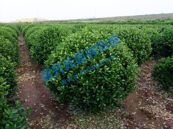 �c���鿴Ԕ����Ϣ���}�����~�S���� ��x�Δ���2247