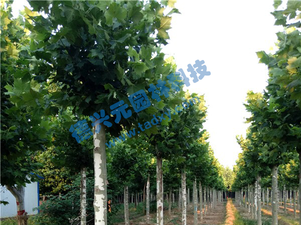 �c���鿴Ԕ����Ϣ���}����ͩ ��x�Δ���2068