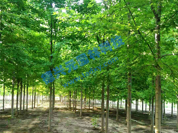 �c(di��n)���鿴Ԕ��(x��)��Ϣ��(bi��o)�}�������t�� ��x�Δ�(sh��)��1835