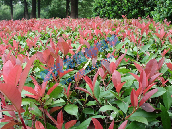 �c���鿴Ԕ����Ϣ���}���t�~ʯ� ��x�Δ���2160